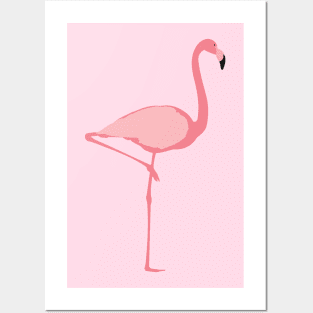 Flamingo Posters and Art
